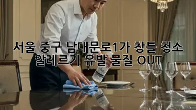 서울 중구 남대문로1가 창틀 청소 : 알레르기 유발 물질 OUT!